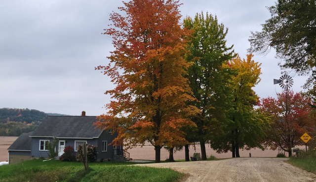 Country Serenity at The Resting Windmill