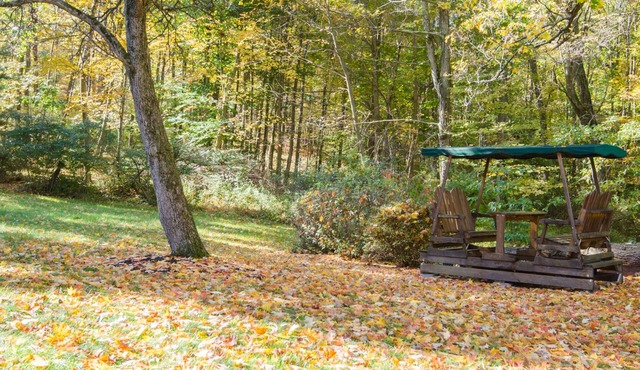 Country Studio in private setting