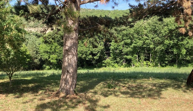 Country studio, relaxation, sport in the heart of nature.