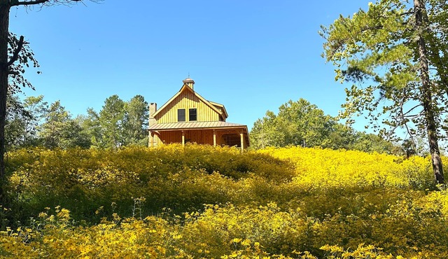 Country Vacation Retreat - Shenandoah, Little Wash,1.5 hours to DC