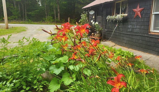 Country View Cabin: Where the only traffic jam is a moose.