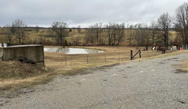 Country View Escapes located in Piggott Arkansas 72454 Cozy, relaxing atmosphere