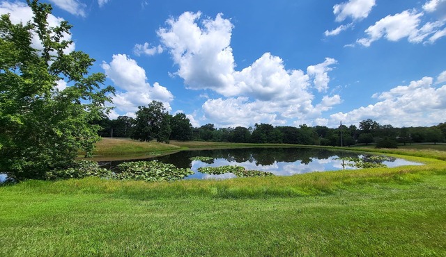 Countryside 3-Bedroom Home with Pond near I57/R148 & Lake of Egypt