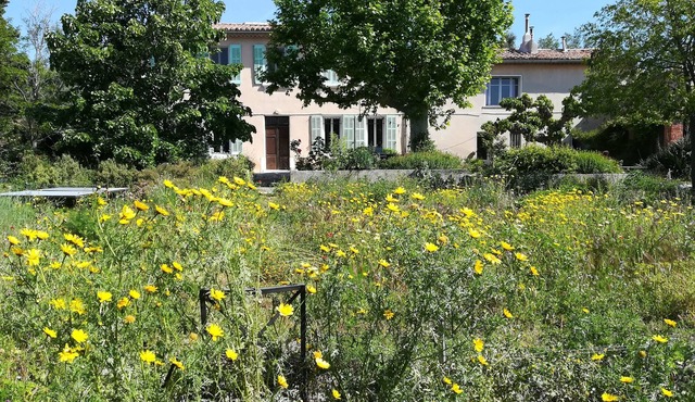 Countryside and old-fashioned swimming pool, 15 minutes from the city center