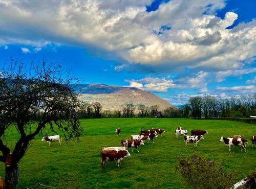 Countryside Retreat, Jacuzzi, Panoramic Views