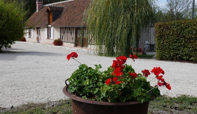 Countryside gîte for 5 with terrace near castles, pets allowed