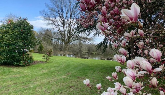 Countryside Home with Private Pond and Forest.