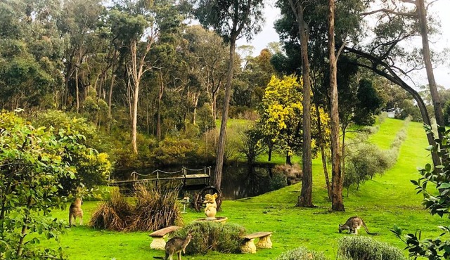 Countryside Retreat romantic tranquil native wildlife township Hepburn - Daylesford