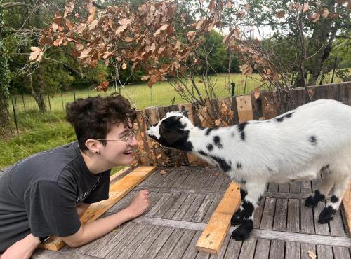 Countryside Views Near Sarlat - Goats, Ducks & Chickens - Farm Experience