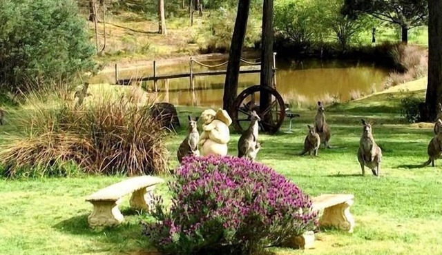 CountrysideRetreat Romance Intimate NativeWildlife Daylesford - Hepburn