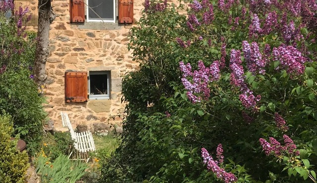 Couple's Retreat in Vineyard House with Terrace