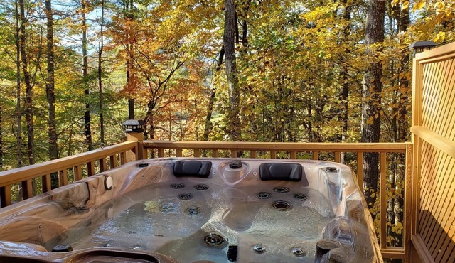 Couples Cabin w/King Bed, Wi-Fi, Hot Tub, & Grill in WNC Mtns
