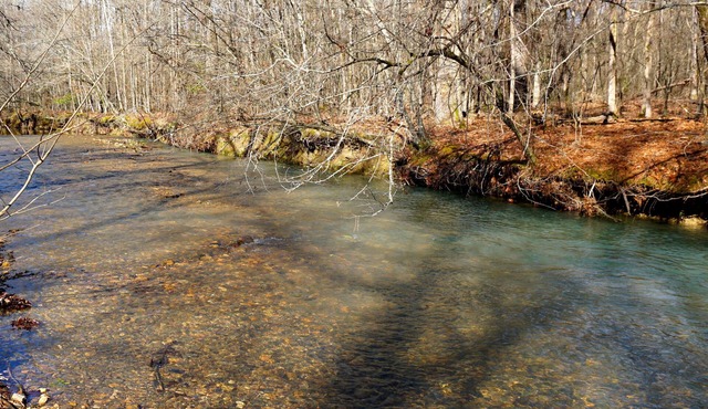 Couples/Family Secluded Getaway Near Hot Springs-Jacuzzi Overlooking Mountains!