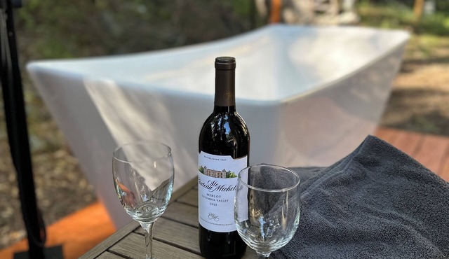 Couple’s retreat in Tiny Home w soaking tub/beach at Upper Lake