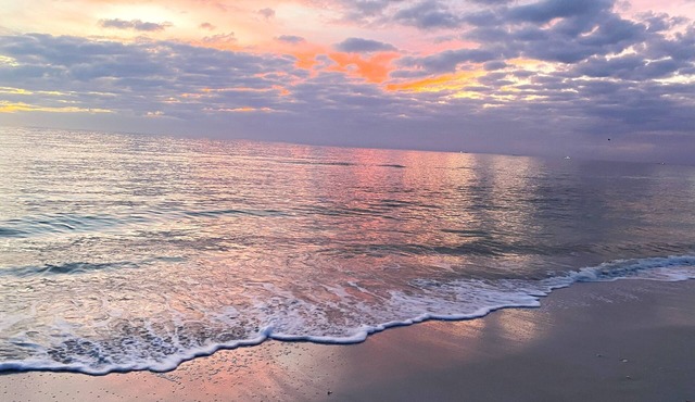 Couples Retreat, Canal, Walk to Downtown Bonita, Nearby Pool and Beach