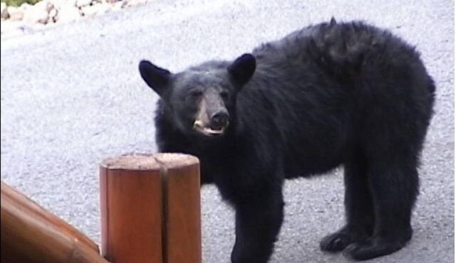 Couples Romantic Paradise,Gorgeous View,Free HS WiFi,HTub,XM, Smart Home Theatre