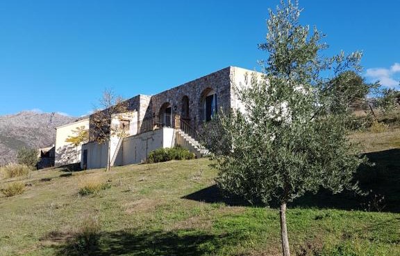 courtaline
