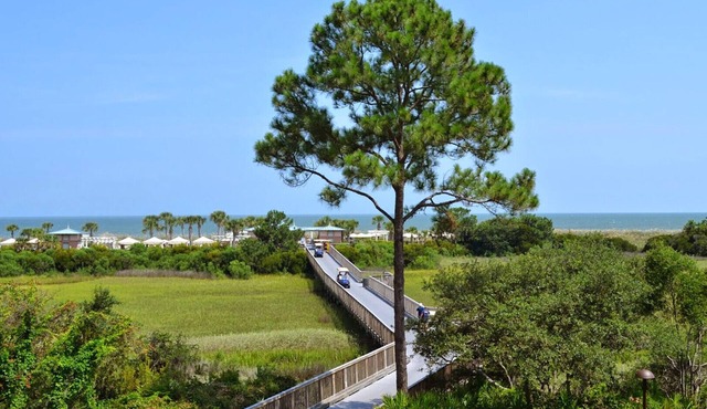 Courtyard View - 3 Bedroom - Marriott's SurfWatch - Full Resort Access