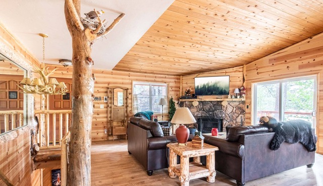 Cove Cabin. Lakefront, Hot Tub, Swing Set, Dock Privileges. Sauna. Game Room. Stunning Views!