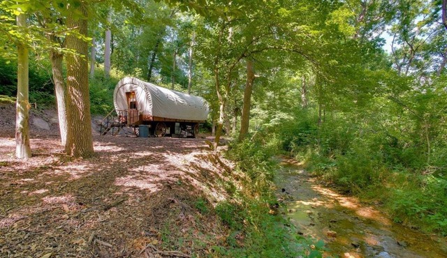 Covered Wagon Camping along Creek, Sleeps 4