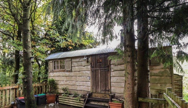 COWBOY, pet friendly, character holiday cottage in Beguildy