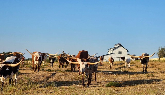 Cowboy Up - Luxury Waterfront Ranch Villa at Twin Canyons Longhorn Ranch