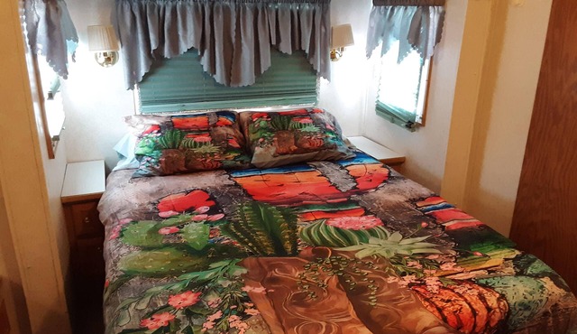Cowgirl Cactus Suite