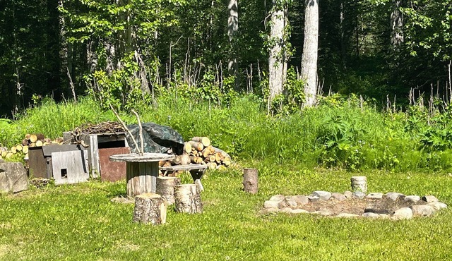 Coyote Cabin in Chickaloon with lake access