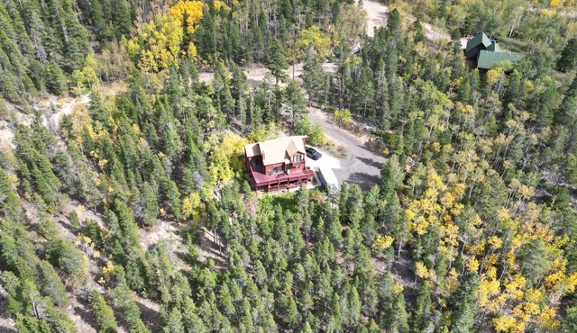Coyote Cabin Just 3 miles above Black Hawk CO - A Beautiful Mountain Home