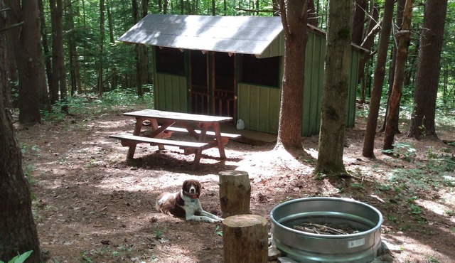 Coyote's Den Rustic Cabin for Adventurous Camper
