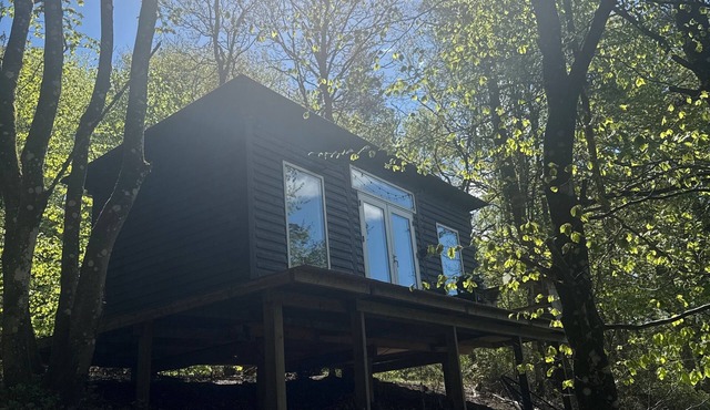 Coziest (note primitive) wooden cabin close to the sky mountain in the middle of the forest