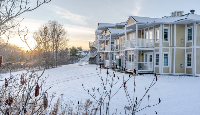 Cozy 1 BDR Retreat near Horseshoe Valley Resort