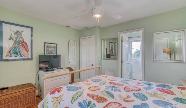 Cozy 1 bdrm/1 bath Charles Village/Hopkins Apartment