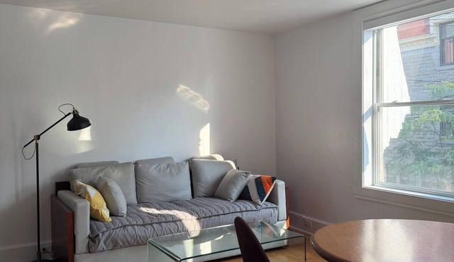 Cozy 1 bdrm in the Village! Walking distance to Old Port and the Plateau