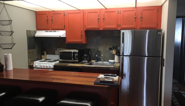 Cozy 1-bed, 1-bath condo on the Fraser river in downtown Winter Park, Colorado
