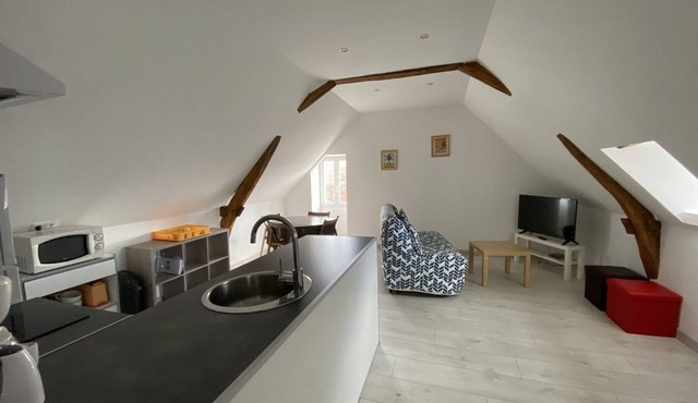 Cozy 1-Bedroom Apartment Near Saint Roch Thermal Baths, La Roche-Posay