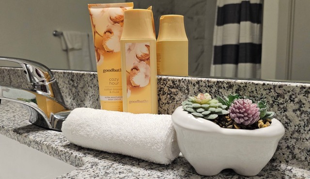 Cozy 1-bedroom apartment in charming Lithia Springs with WiFi and fitness room.