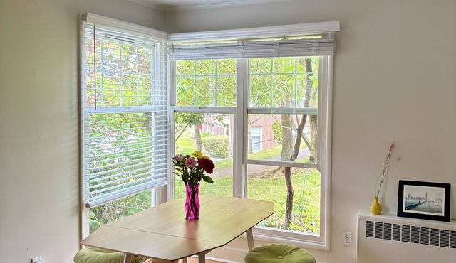 Cozy 1-bedroom apartment in charming Mercer Island with WiFi, tennis courts