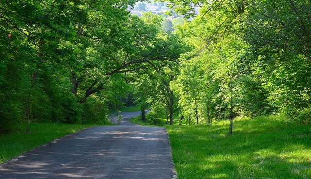 Cozy 1-bedroom apartment with AC and WiFi, secluded, private, and professional