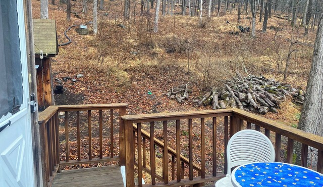 Cozy 1-bedroom apartment with AC, WiFi in charming Port Jervis