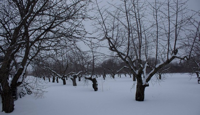 Cozy 1-bedroom apartment in Suttons Bay near Tart trail