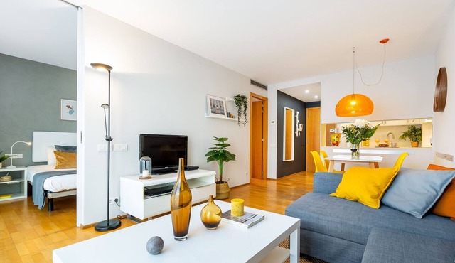 Cozy 1-Bedroom Apartment Near Sagrada Familia and Monumental