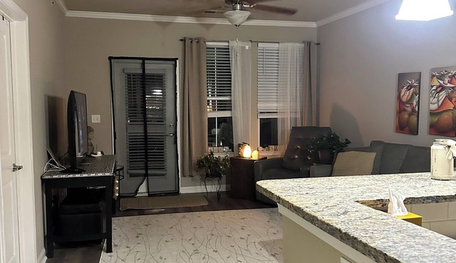 Cozy 1-bedroom apartment with AC, washer/dryer and gym in serene Charleston