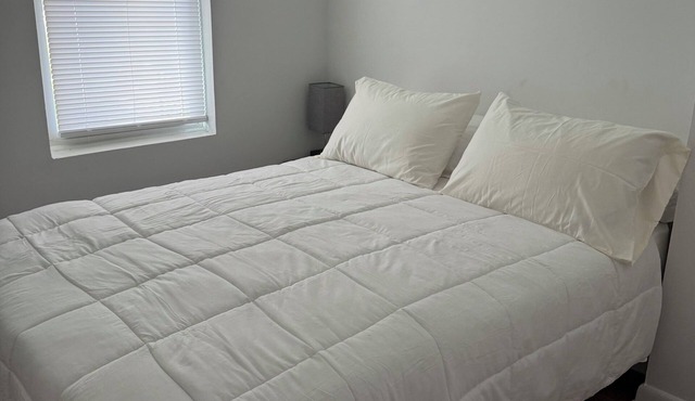 Cozy 1-bedroom apartment in vibrant DC neighborhood walkable to popular H-street