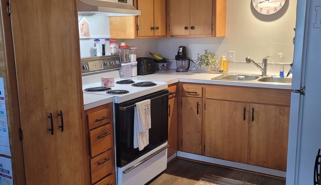 Cozy 1 bedroom apartment near downtown Clarkston