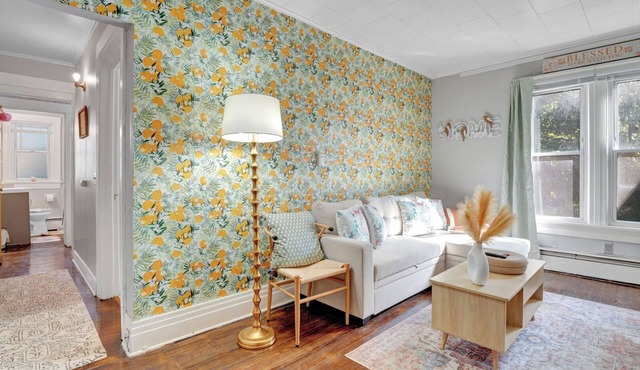 Cozy 1-bedroom apartment, central to all of Rochester