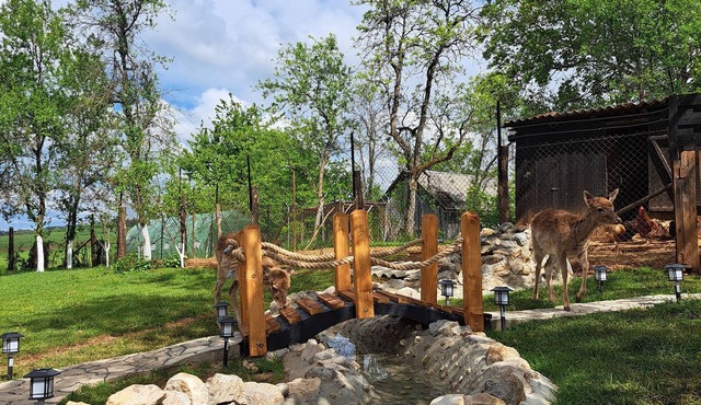 Cozy 1-bedroom apartment with jacuzzi and dears in backyard near Plitvice lakes