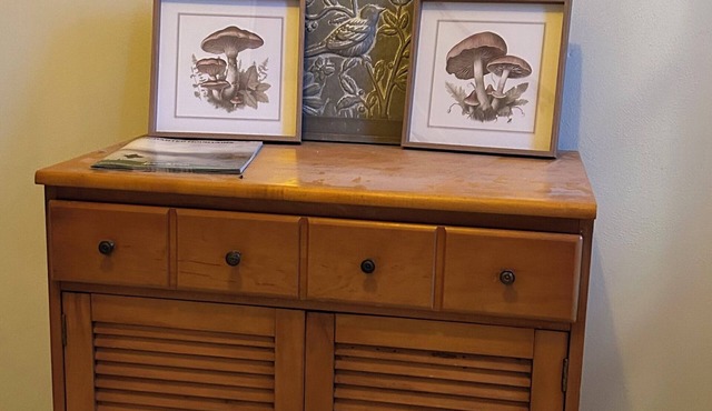 Cozy 1-bedroom apartment in charming Allegany with WiFi