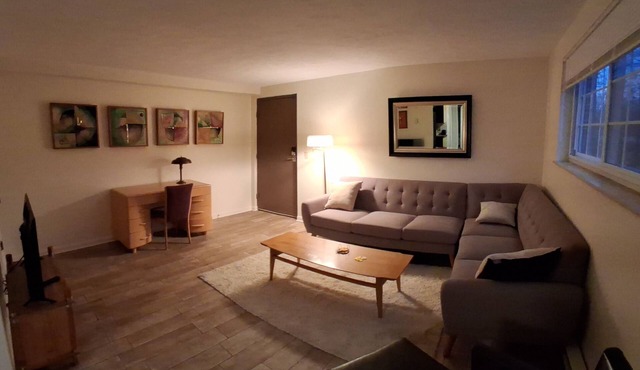 Cozy 1-bedroom apartment - great for those traveling for work