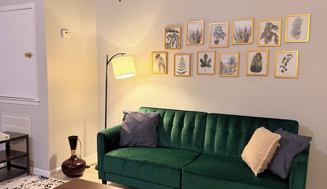 Cozy 1-bedroom apartment in Pearland